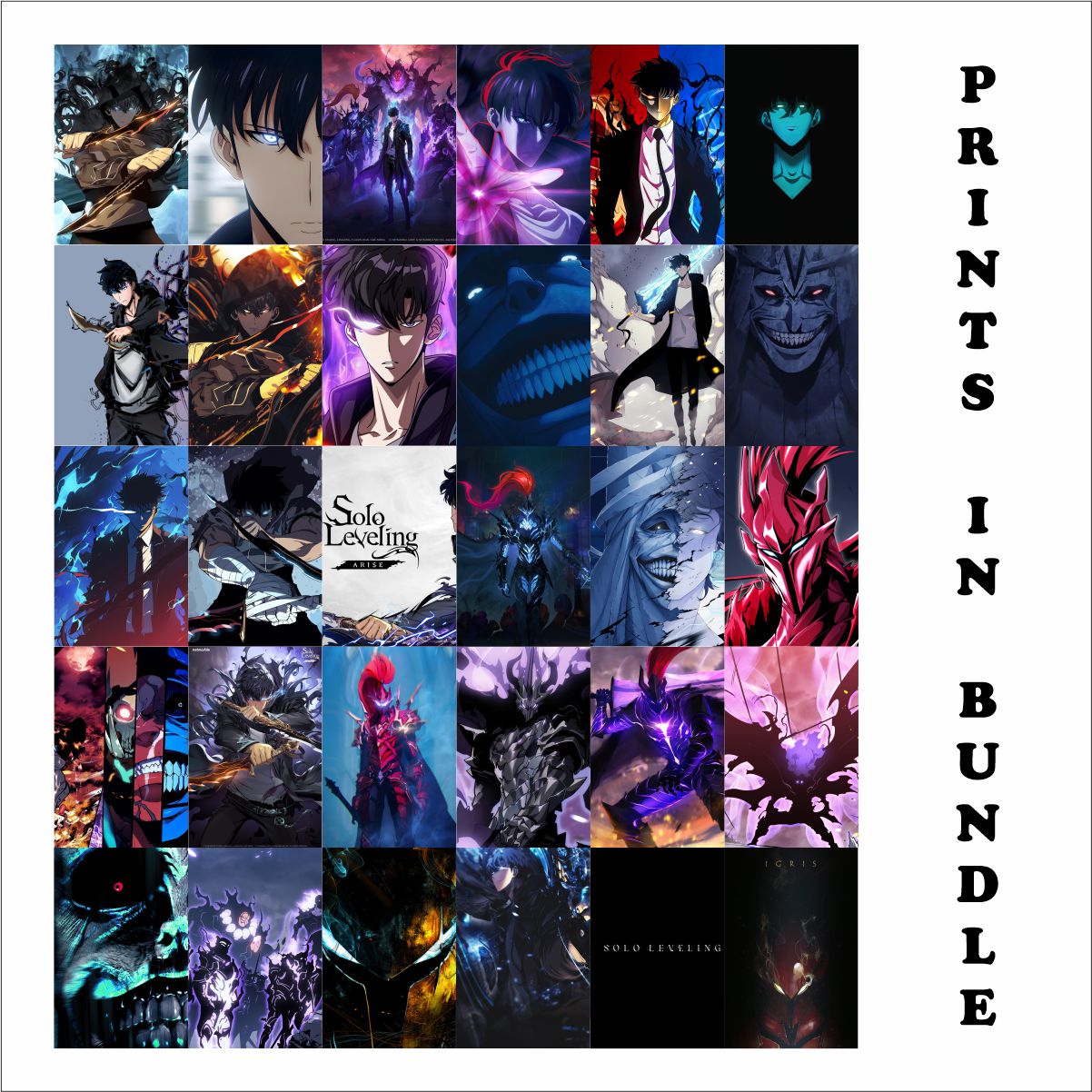 Solo Leveling Posters A6 Size  Pack Of 30