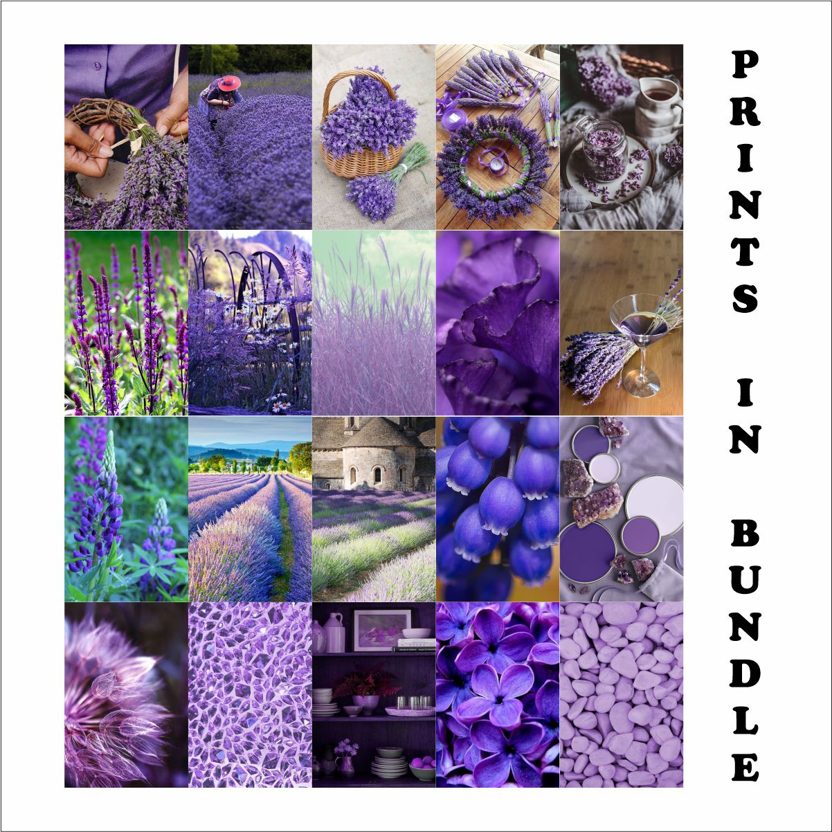 Lavender Aesthetic Poster A4 Size pack Of 20